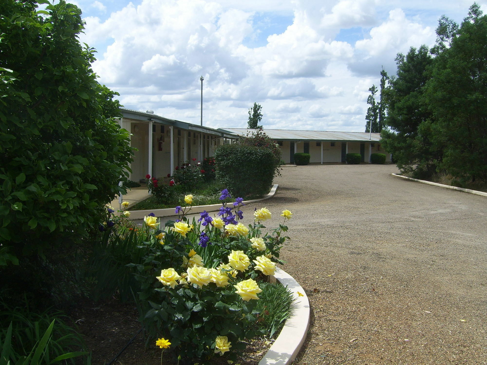 Garden Motor Inn Гандагай Екстериор снимка