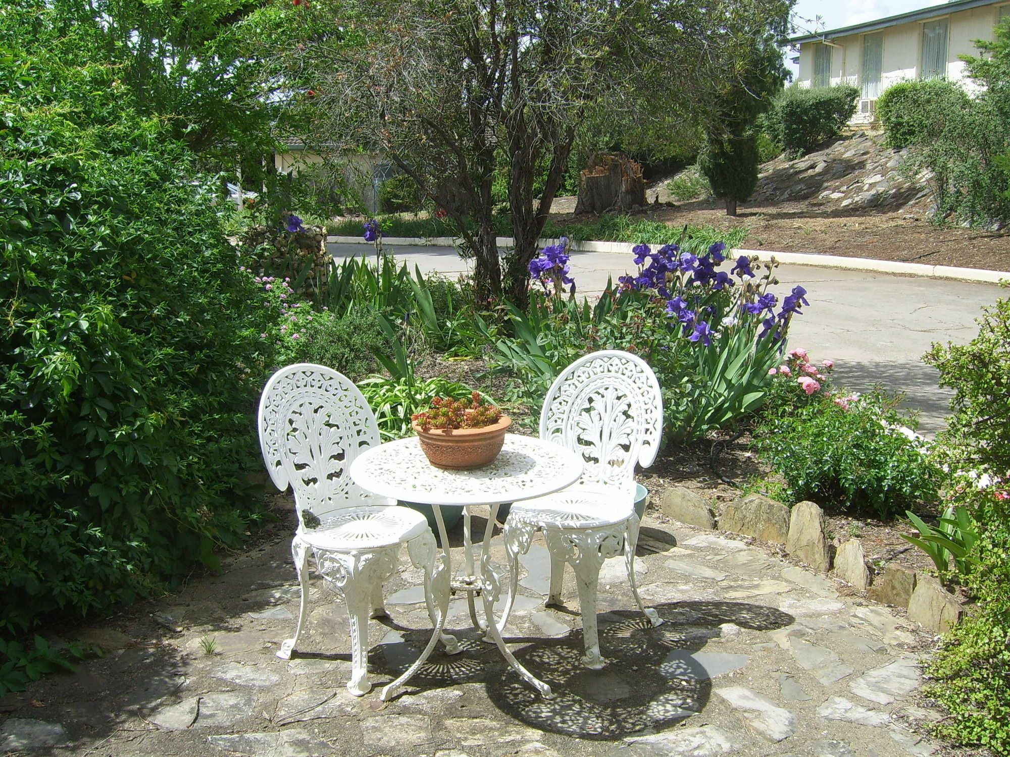 Garden Motor Inn Гандагай Екстериор снимка